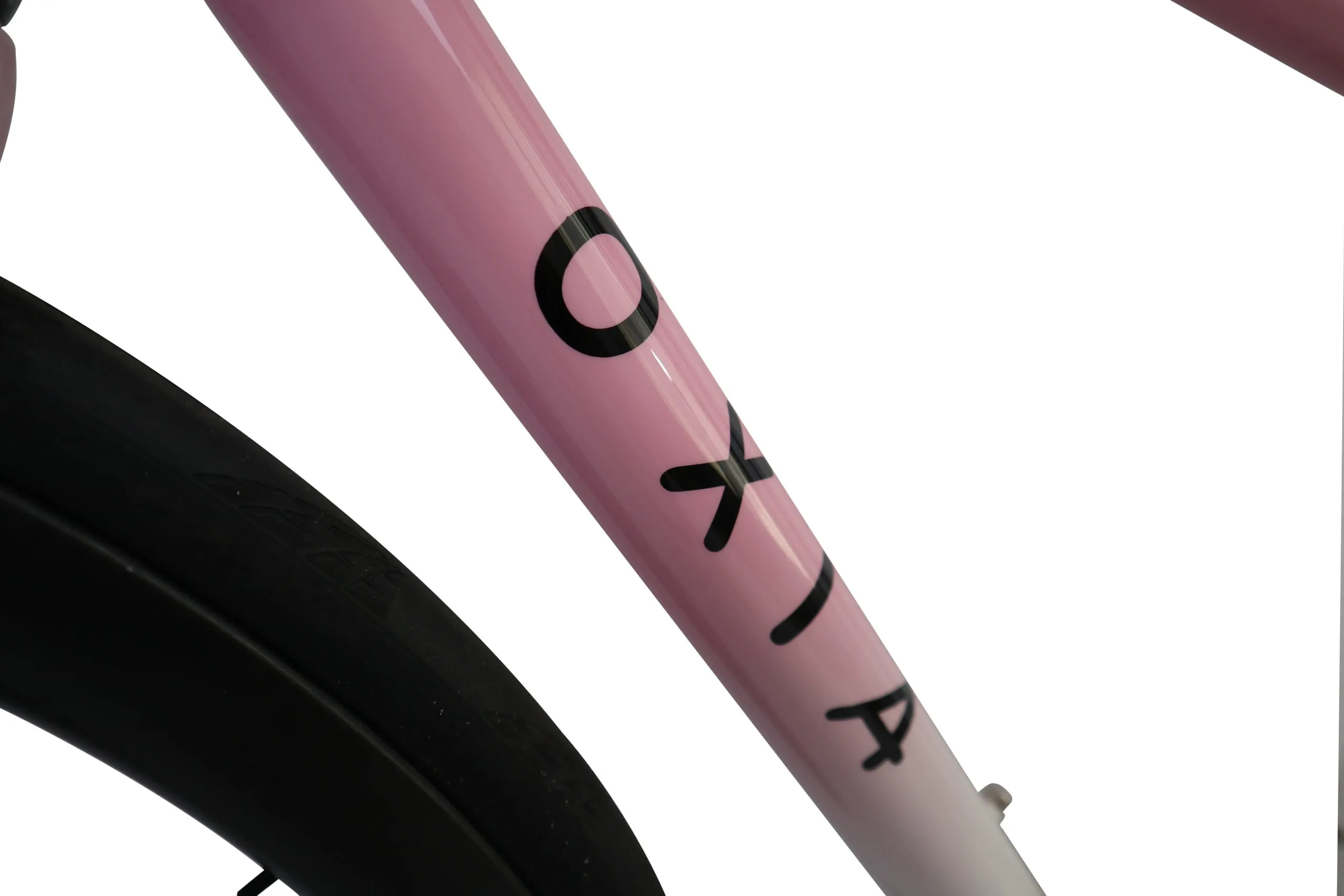 Oxia Flavia detalle 16