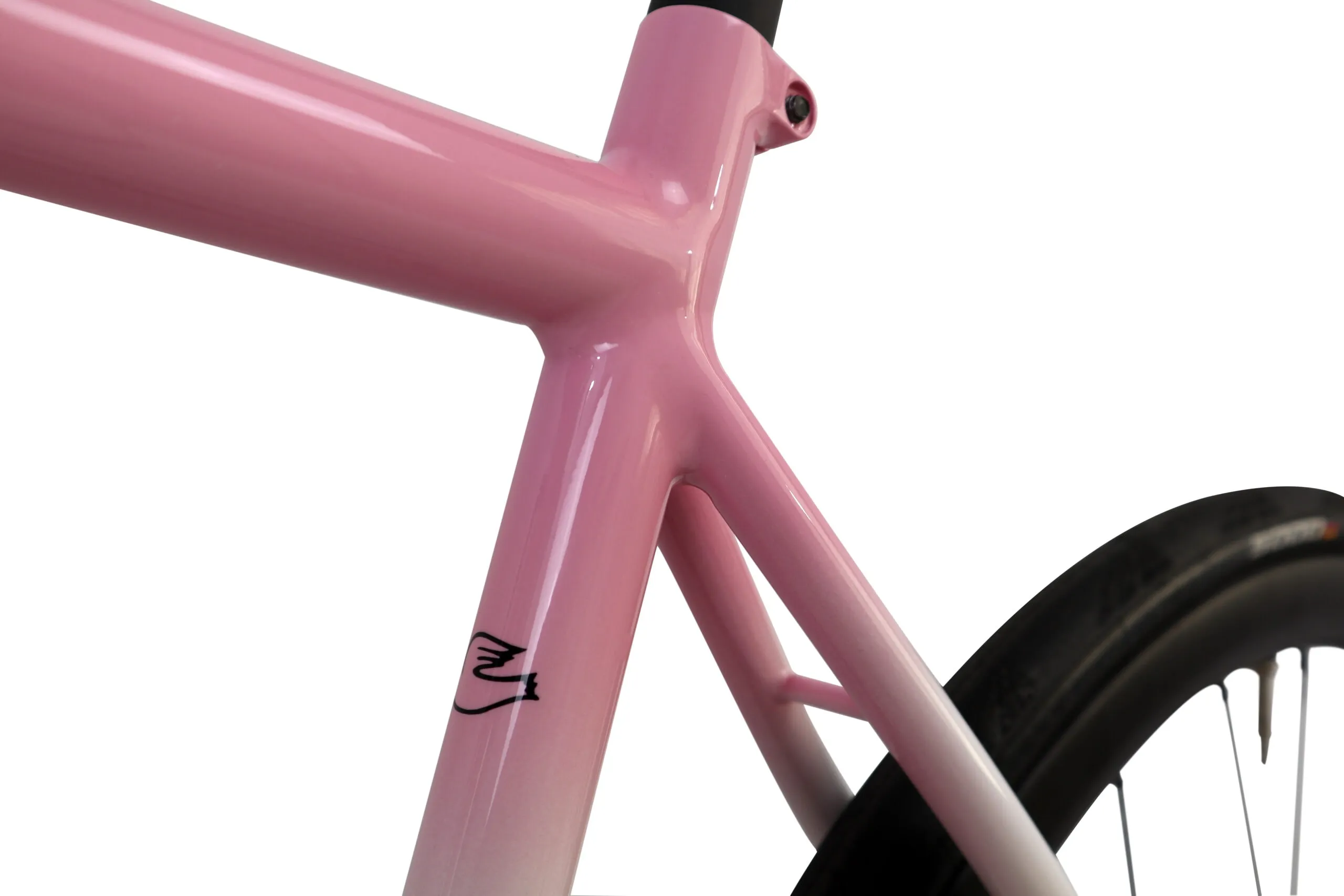 Oxia Flavia detalle 17