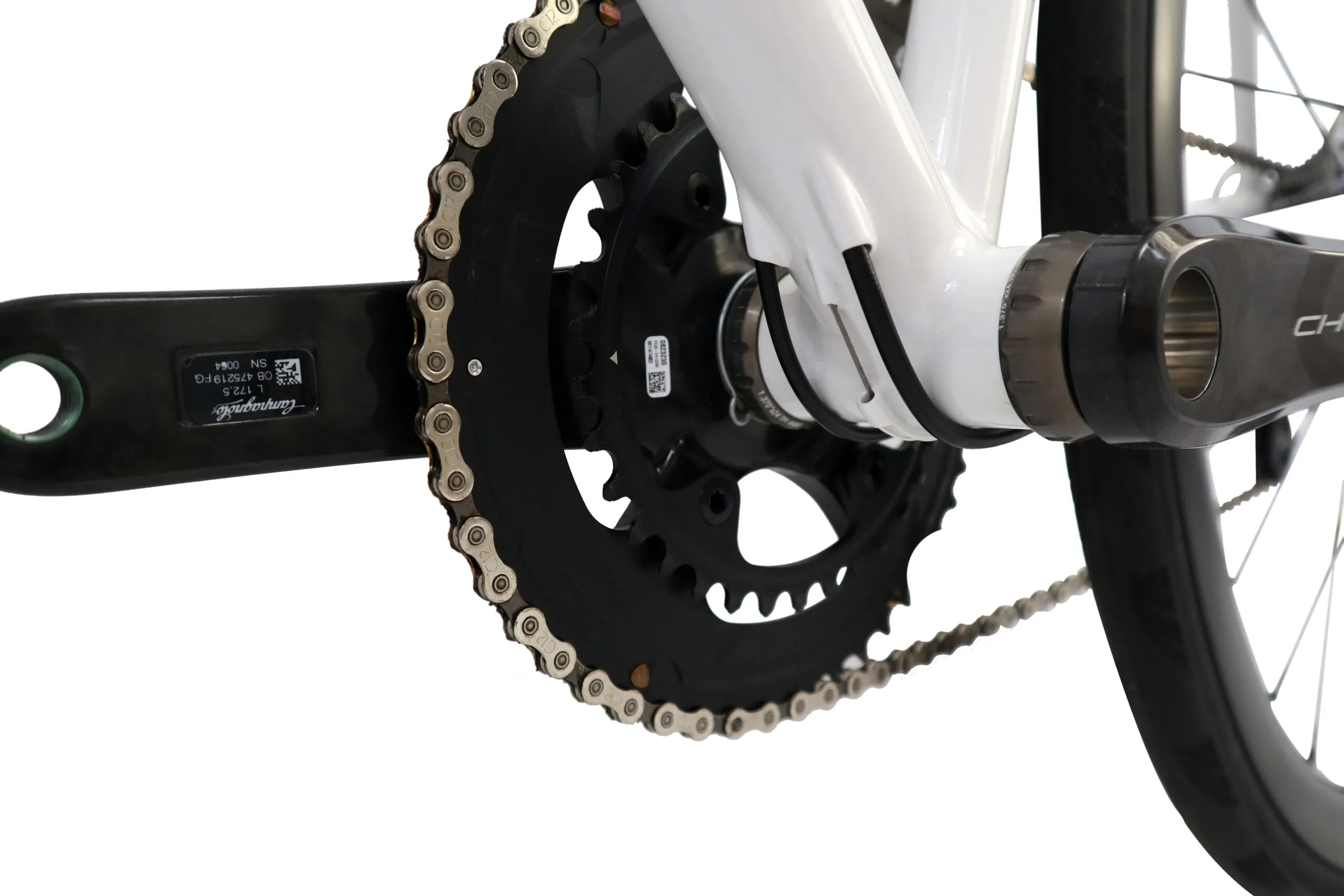 Oxia Flavia detalle 20