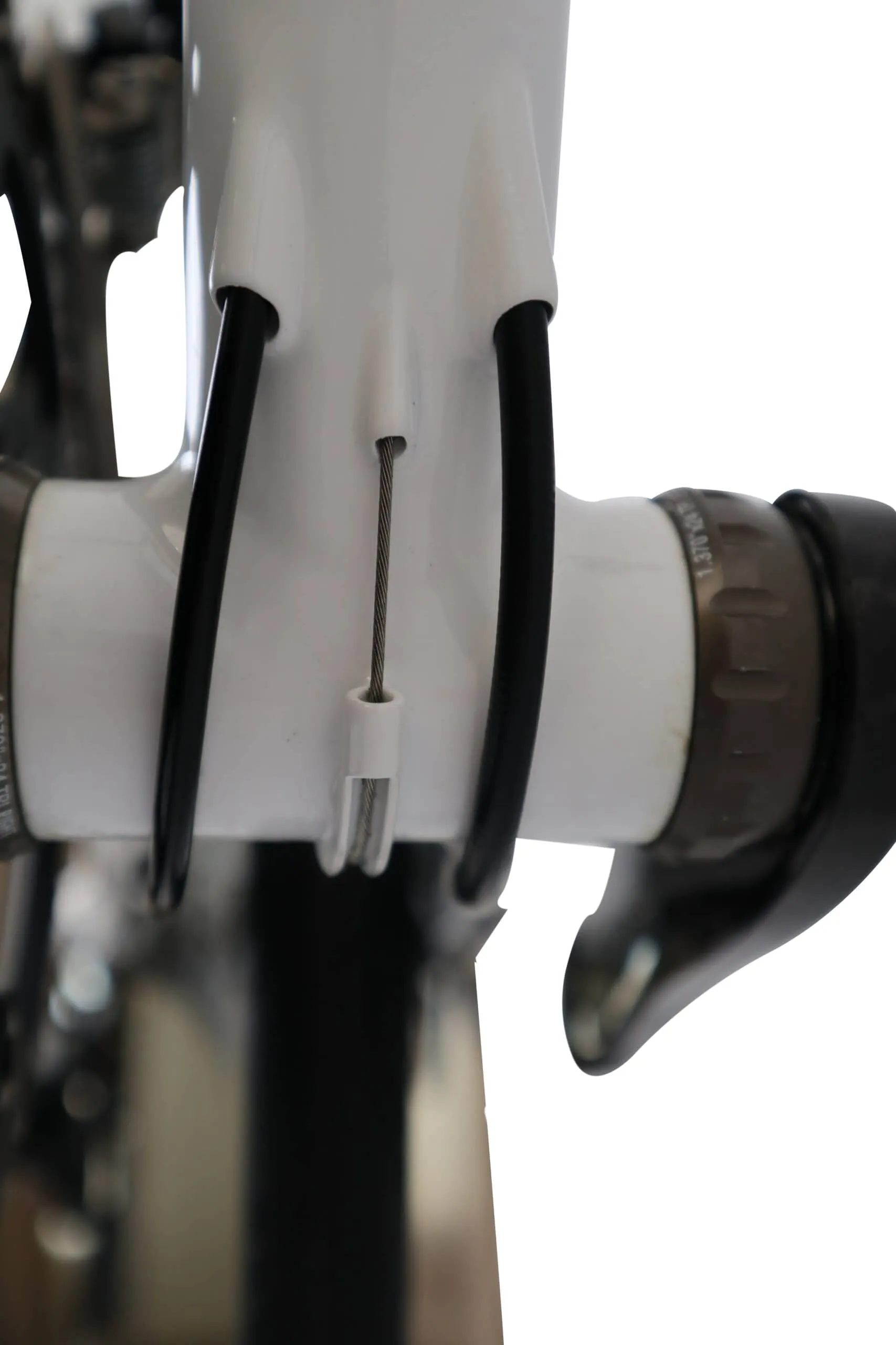 Oxia Flavia detalle 21