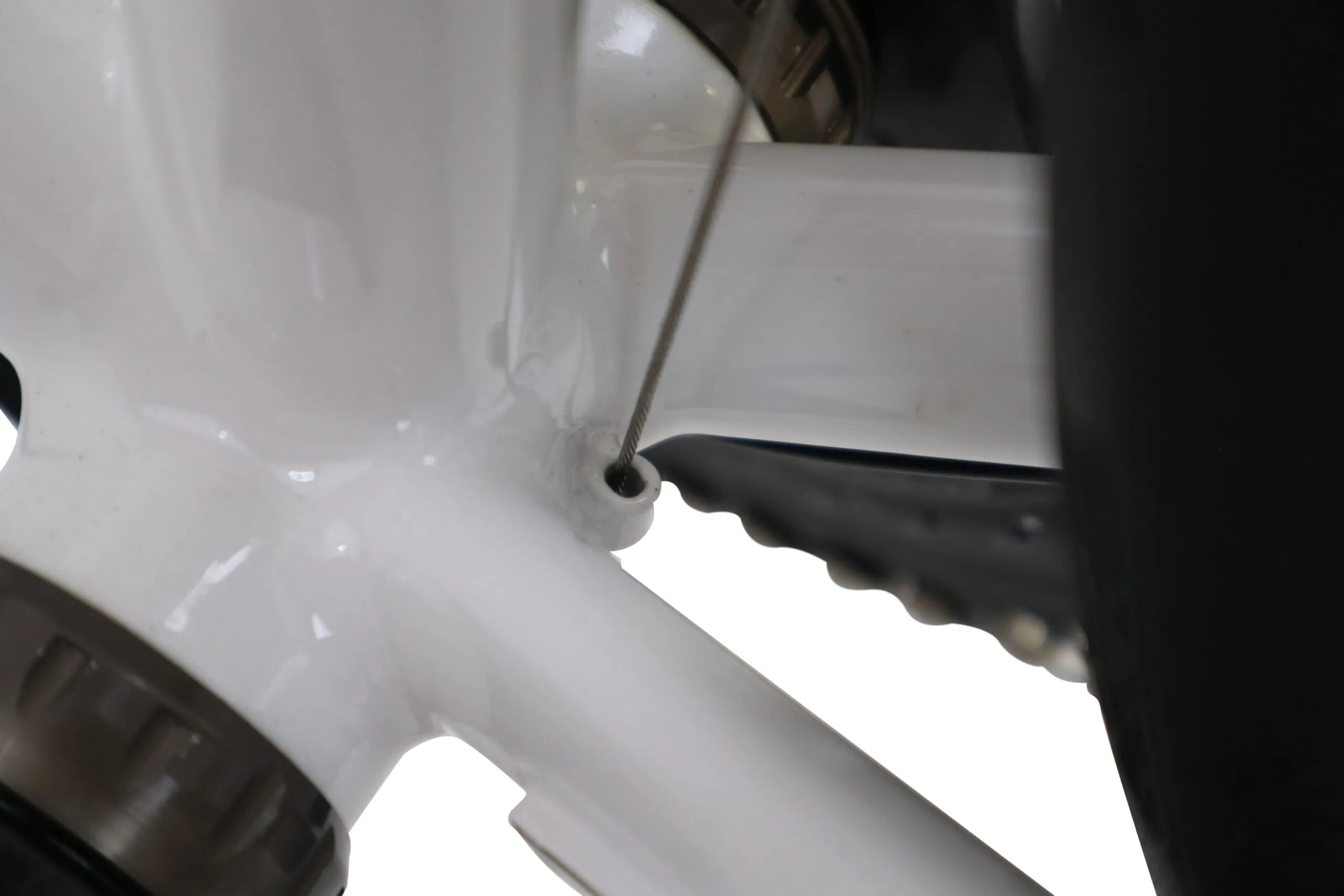 Oxia Flavia detalle 22