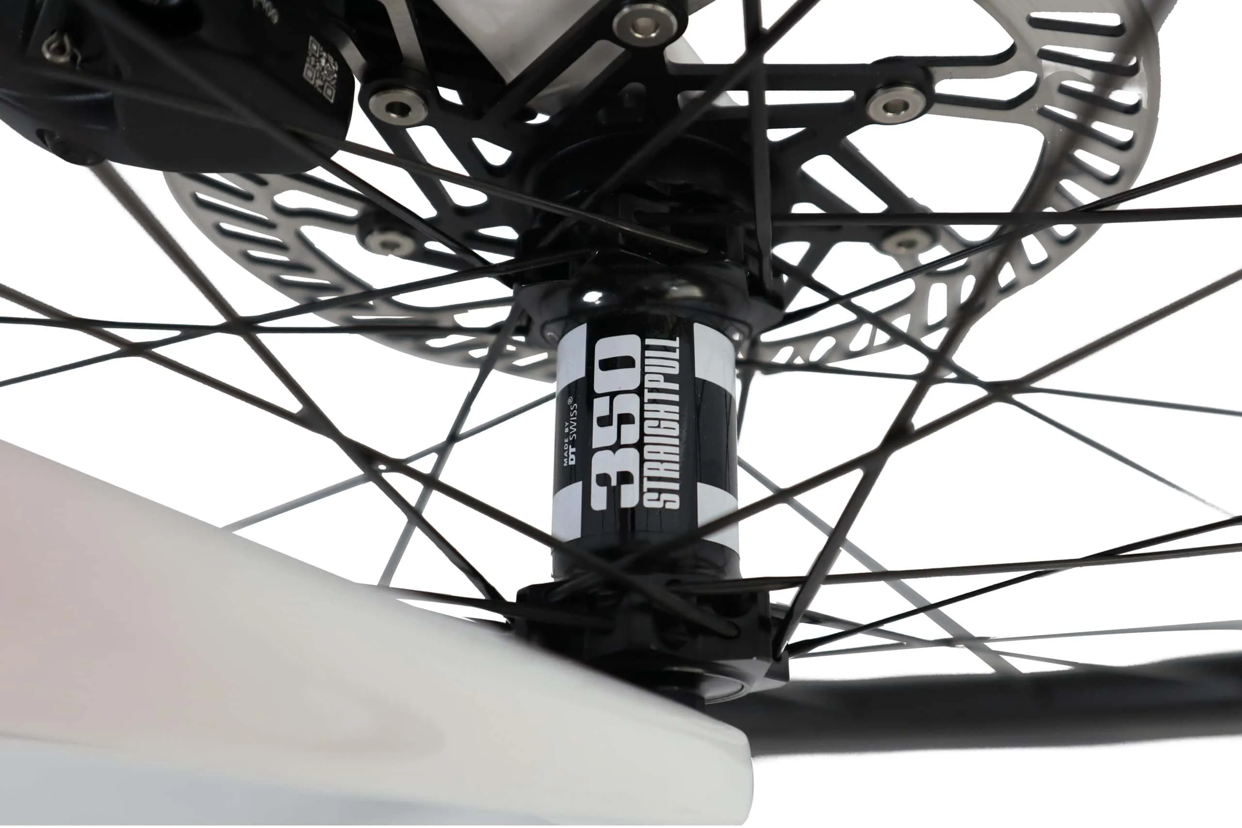 Oxia Flavia detalle 23