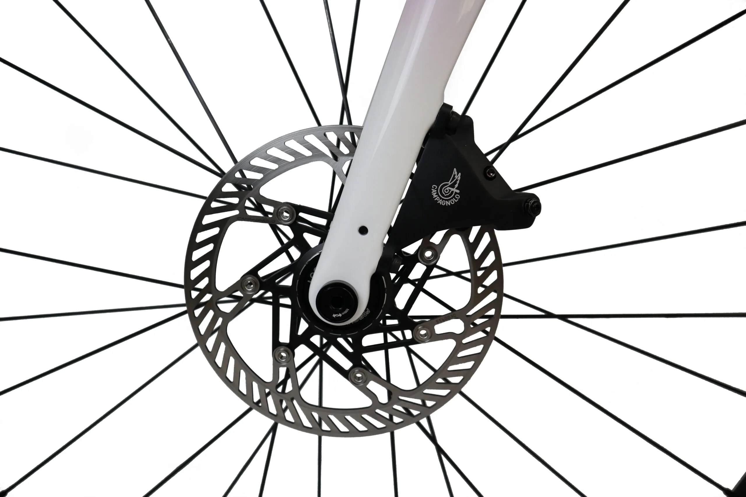 Oxia Flavia detalle 24