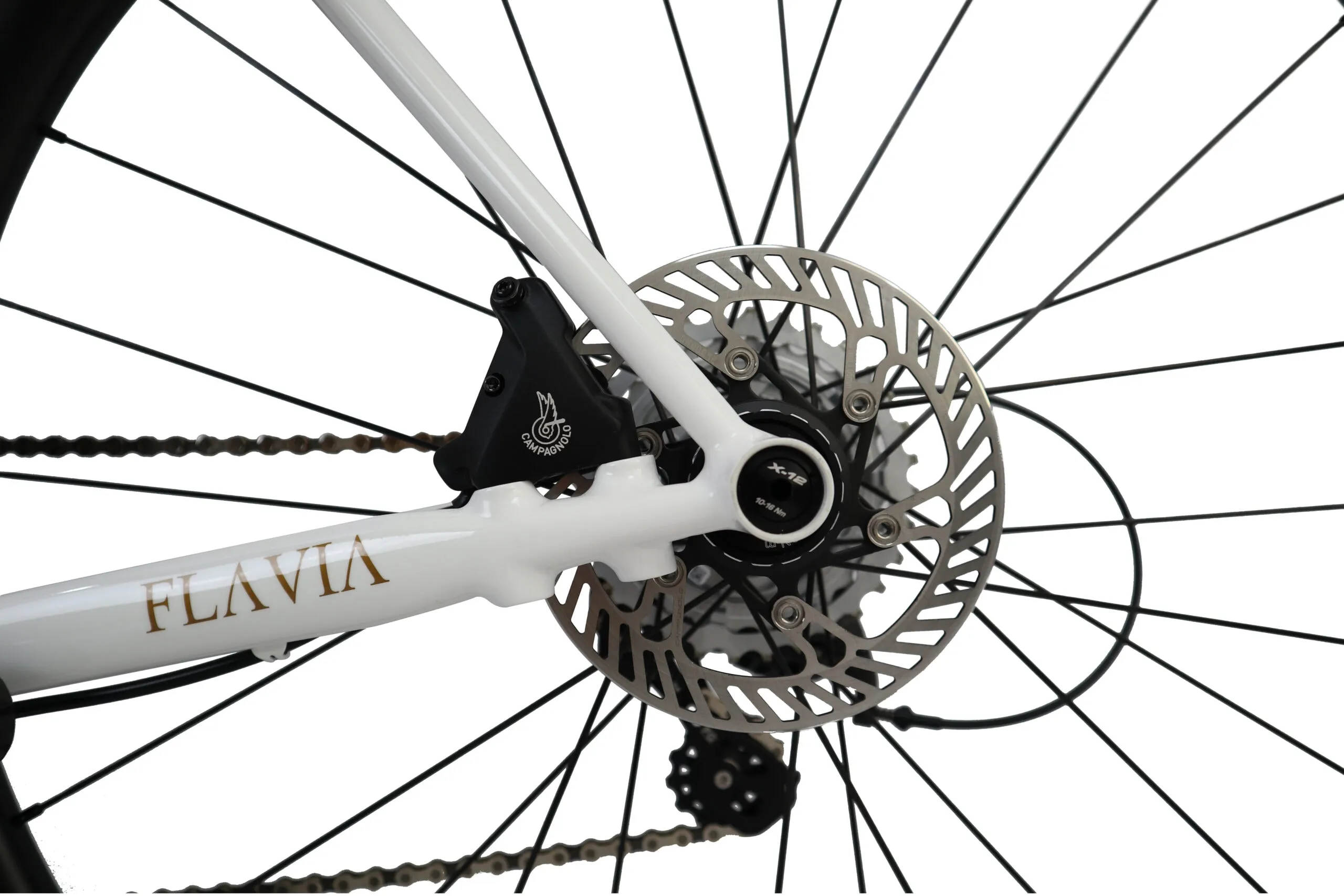 Oxia Flavia detalle 25