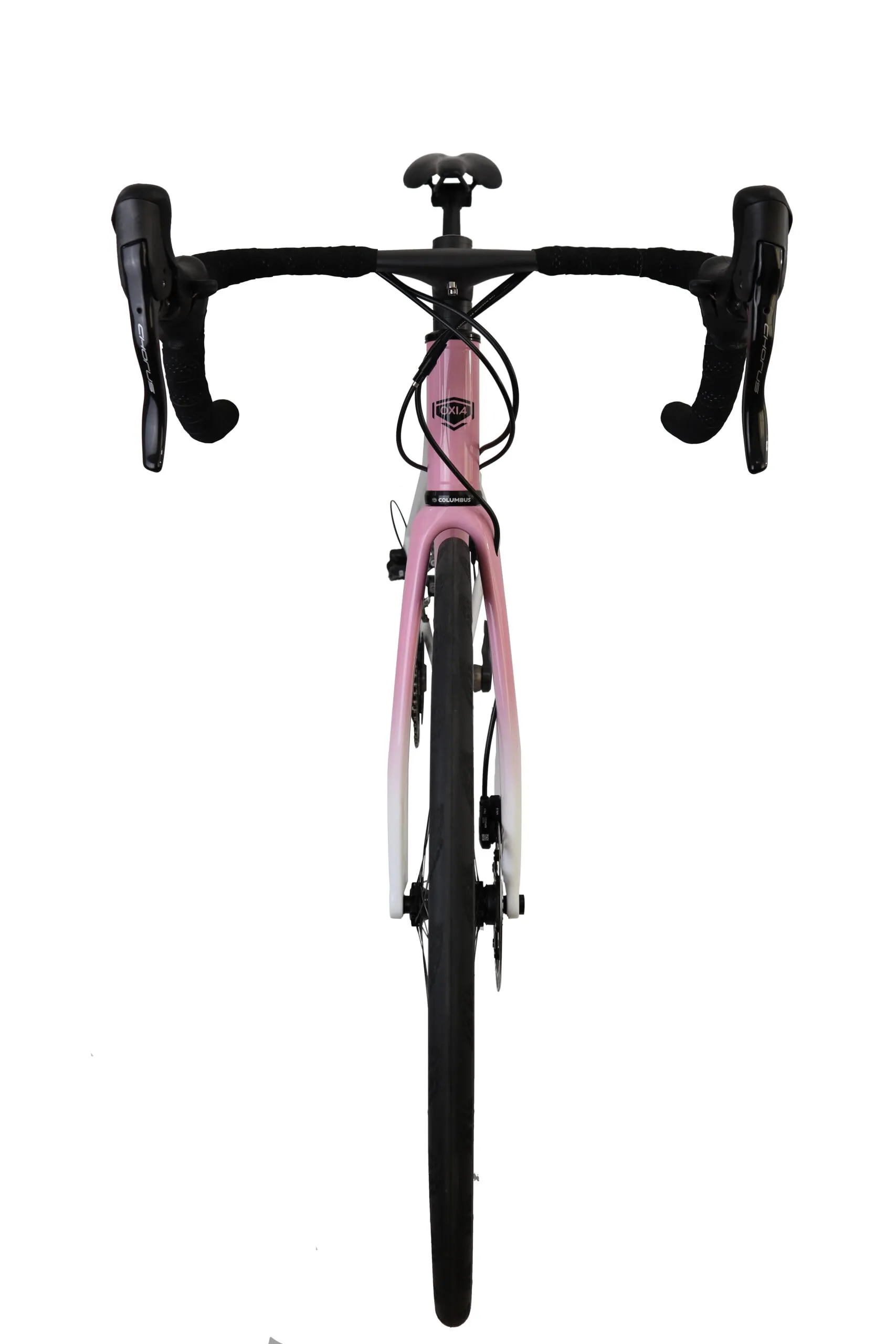 Oxia Flavia detalle 26