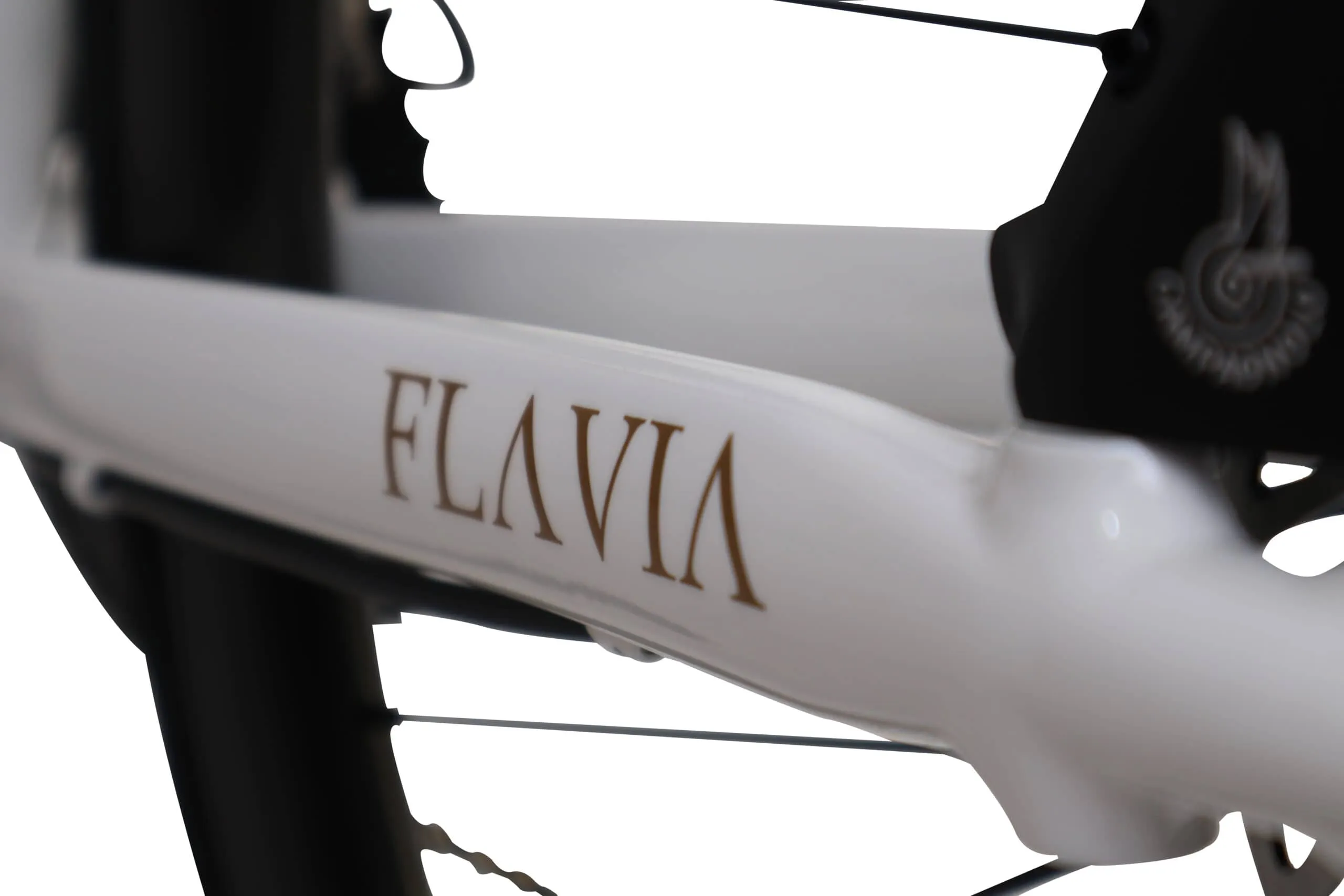 Oxia Flavia detalle 29