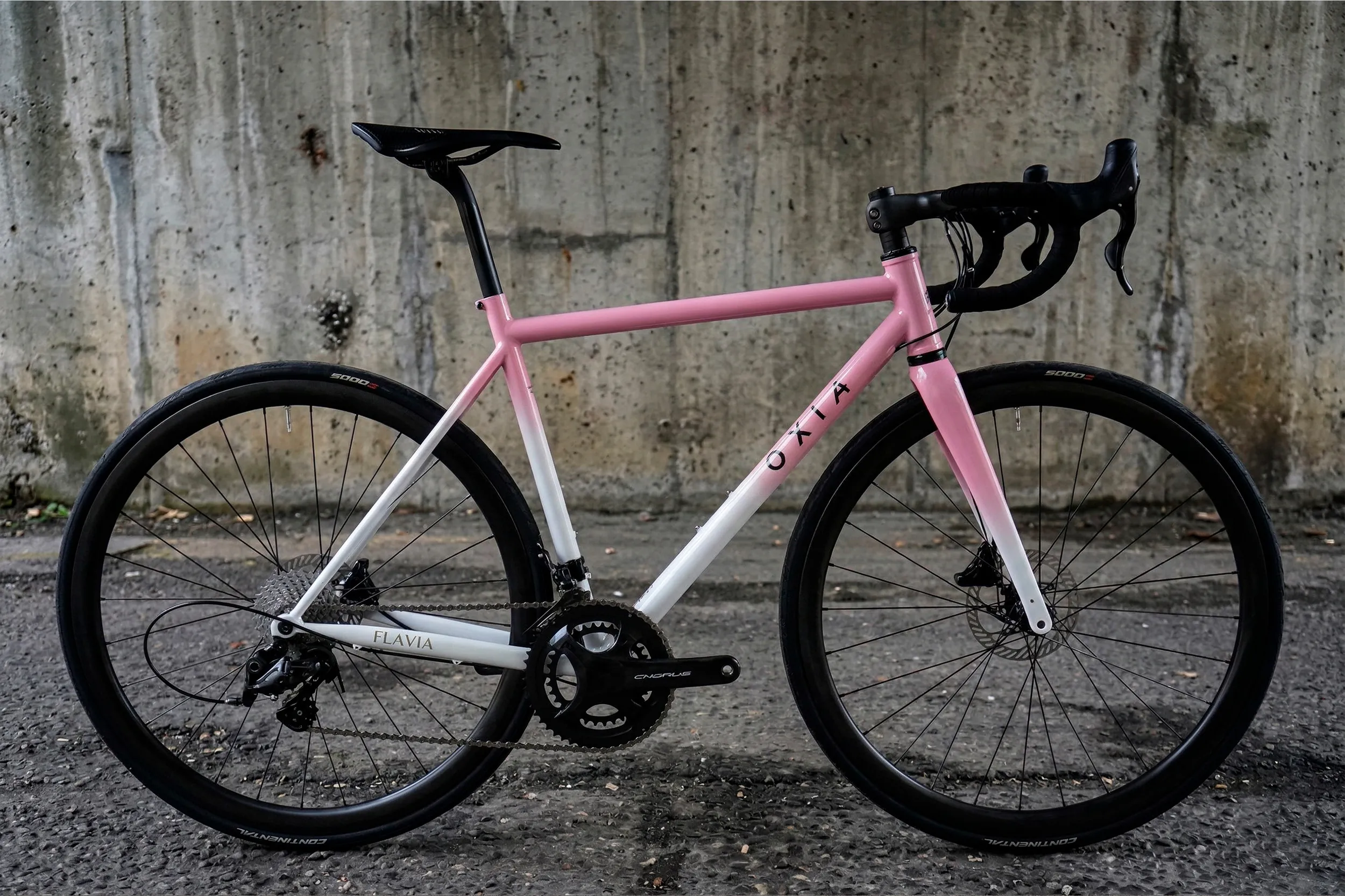 Oxia Flavia vista general