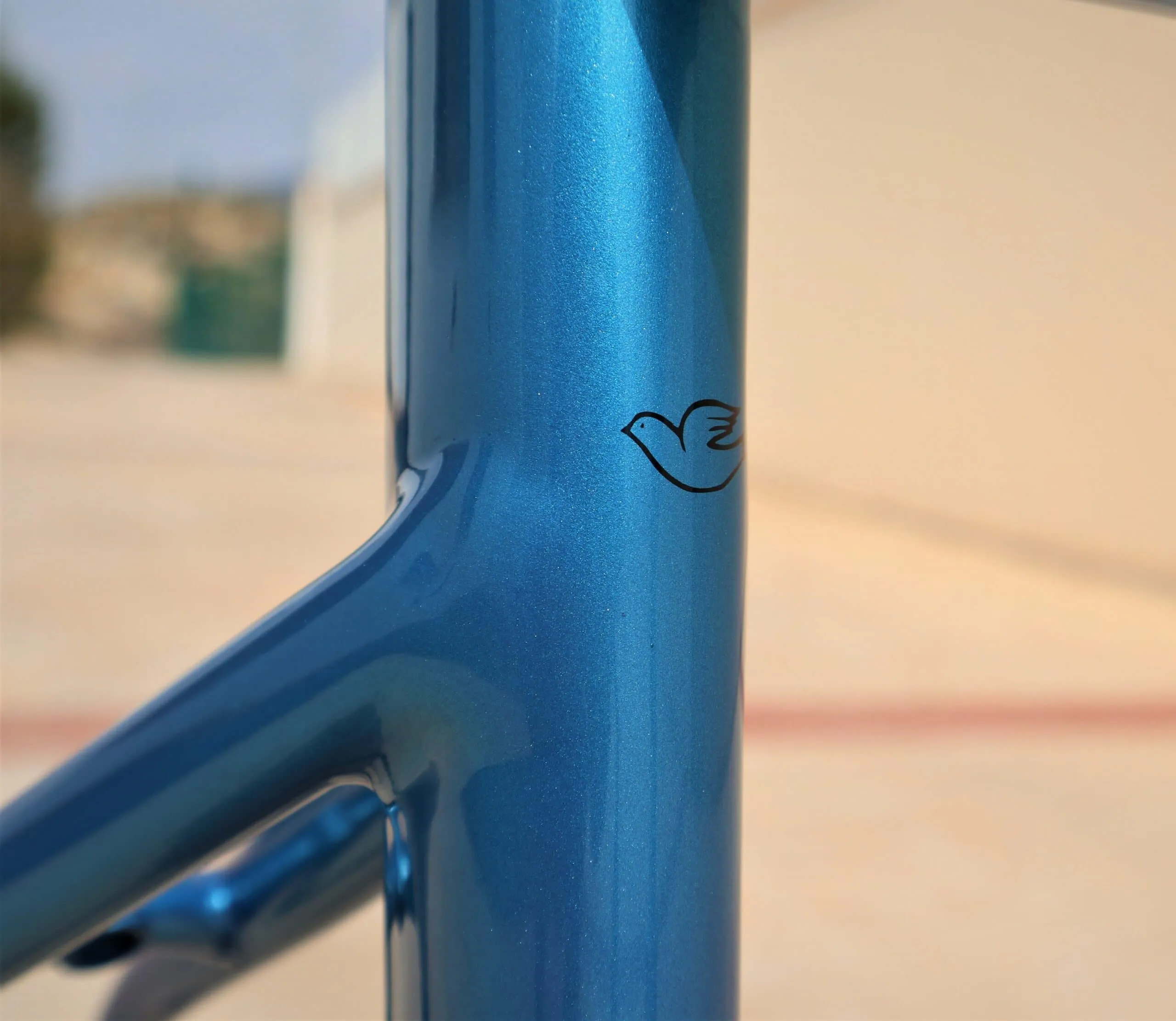 Oxia Tizona detalle 05