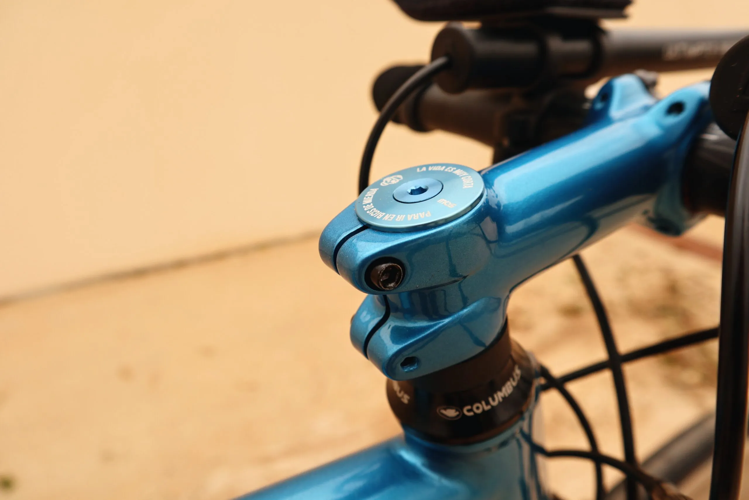 Oxia Tizona detalle 22