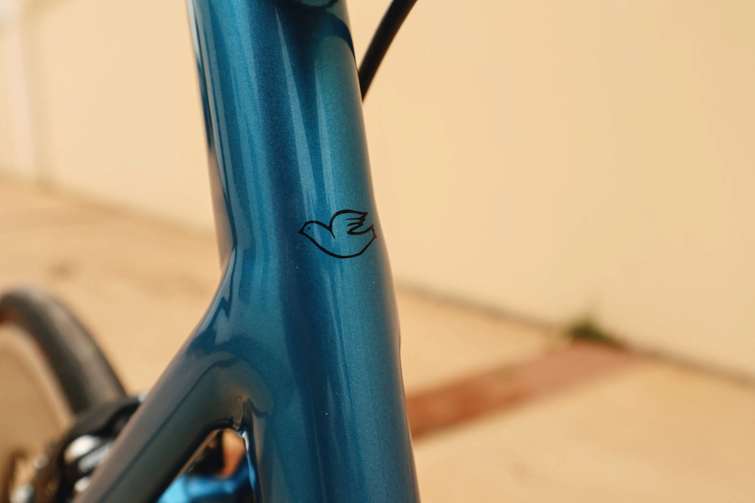 Oxia Tizona detalle 24