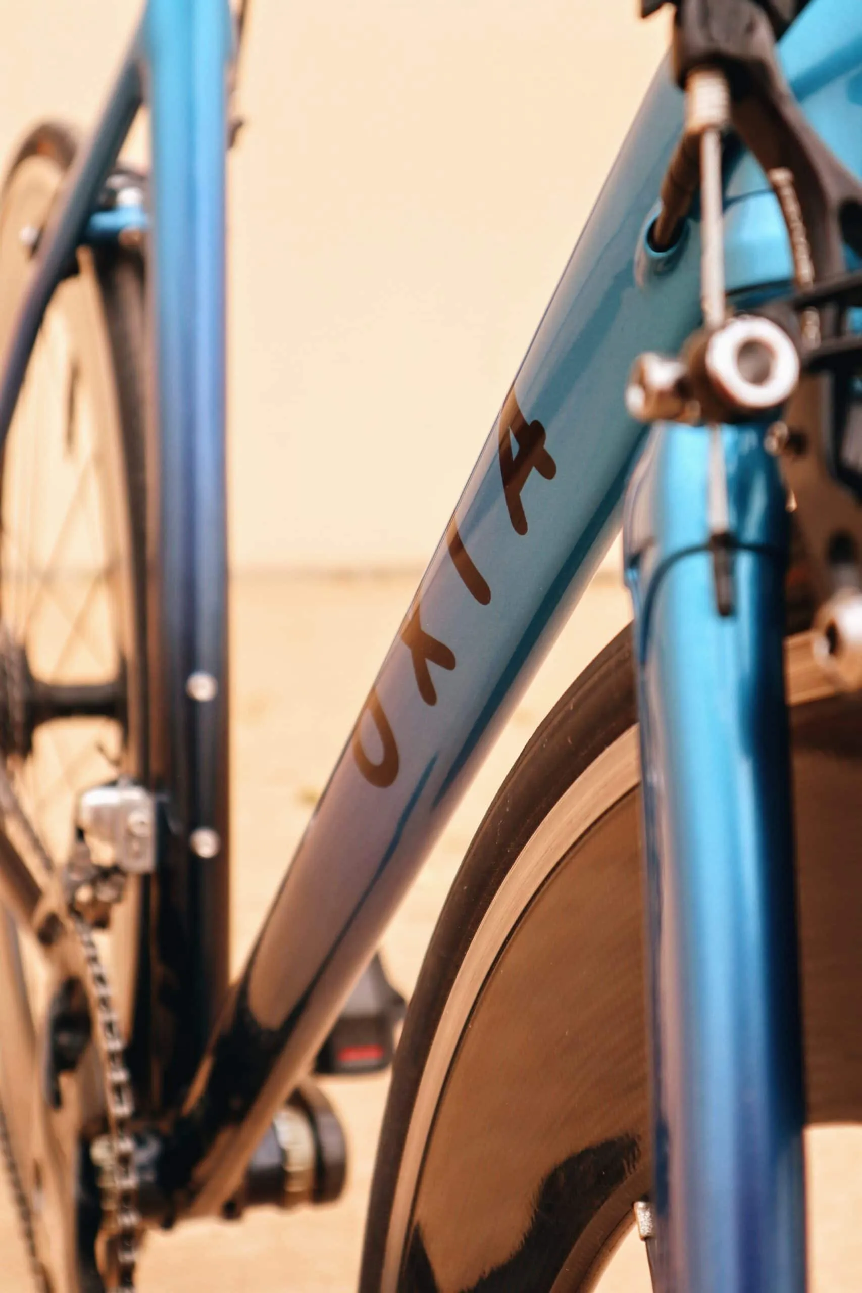 Oxia Tizona detalle 29