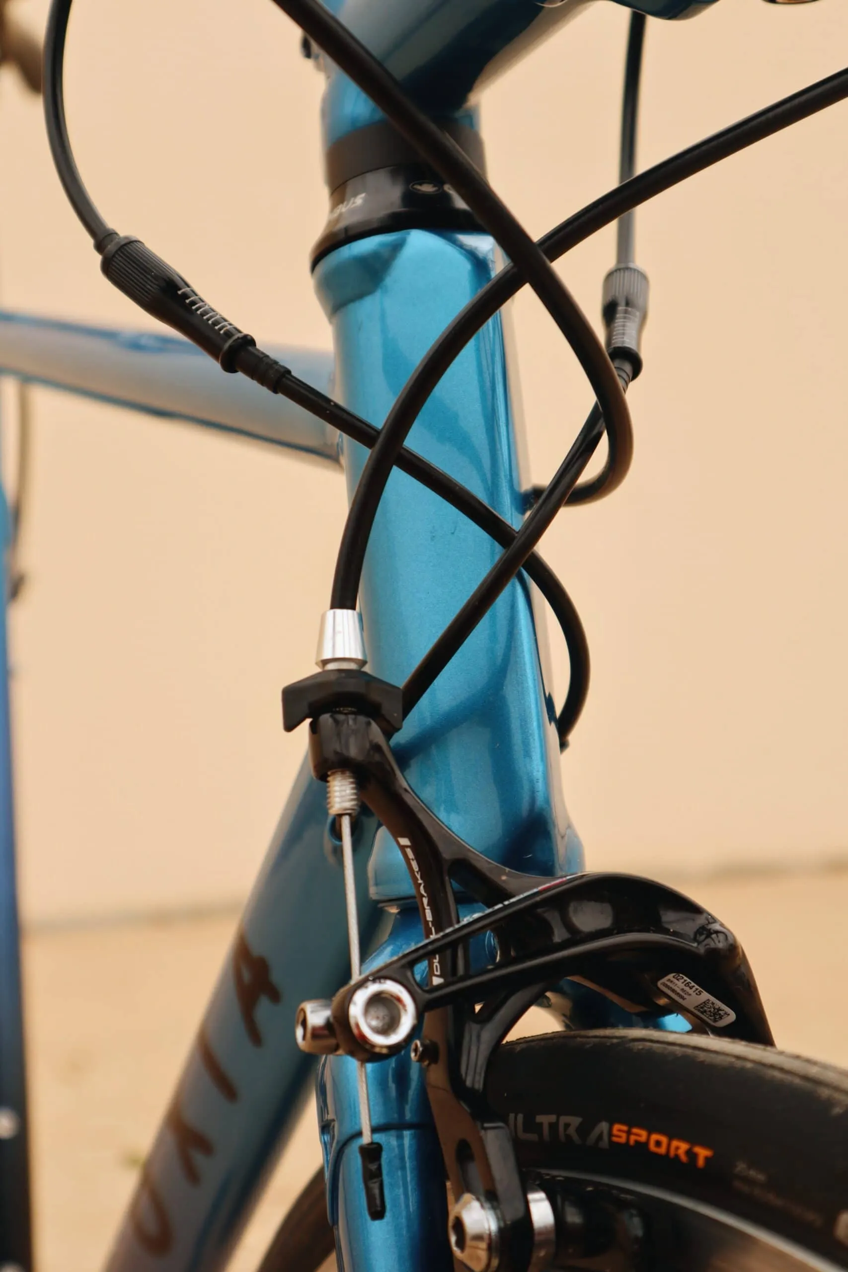 Oxia Tizona detalle 30